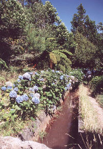 Levada dos Tornos