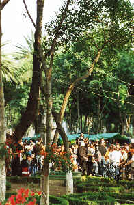 Coyoacan
