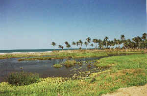 Lagune