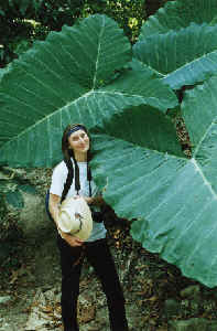 Palenque
