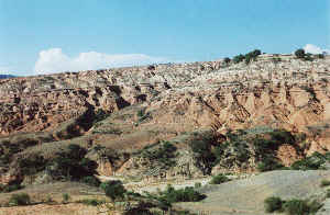 Landschaft