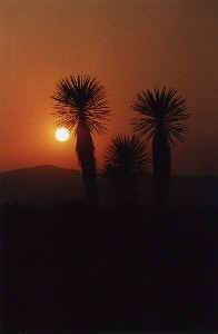 Sonnenuntergang