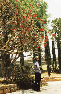 Teotihuacan